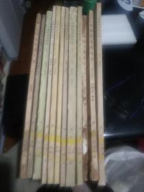 中国经济昆虫志 第五册 鞘翅目 瓢虫科