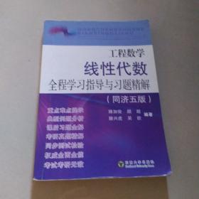 工程数学线性代数全程学习指导与习题精解（同济5版）