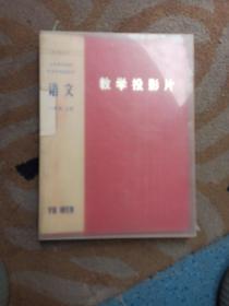 义务教育课程标准实验教科书《语文》(一年级上册)——教学投影片