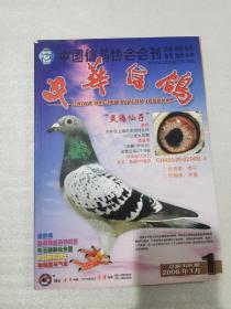 中华信鸽2006-1