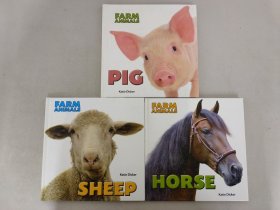 Farm Animals农场动物：PIG猪、SHEEP绵羊、HORSE马【3册合售】精装本
