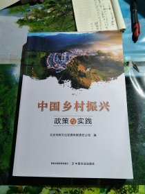 中国乡村振兴政策与实践