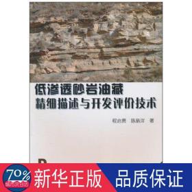 低渗透砂岩油藏精细描述与开发评价技术 能源科学 程启贵 陈恭洋 新华正版