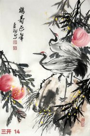 省 美协会员文联会员 李老师原创 现代水墨花鸟