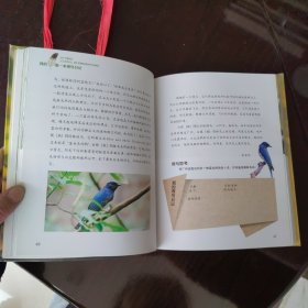 自然观察：我的第一本观鸟日记