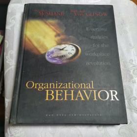 organizational behavior