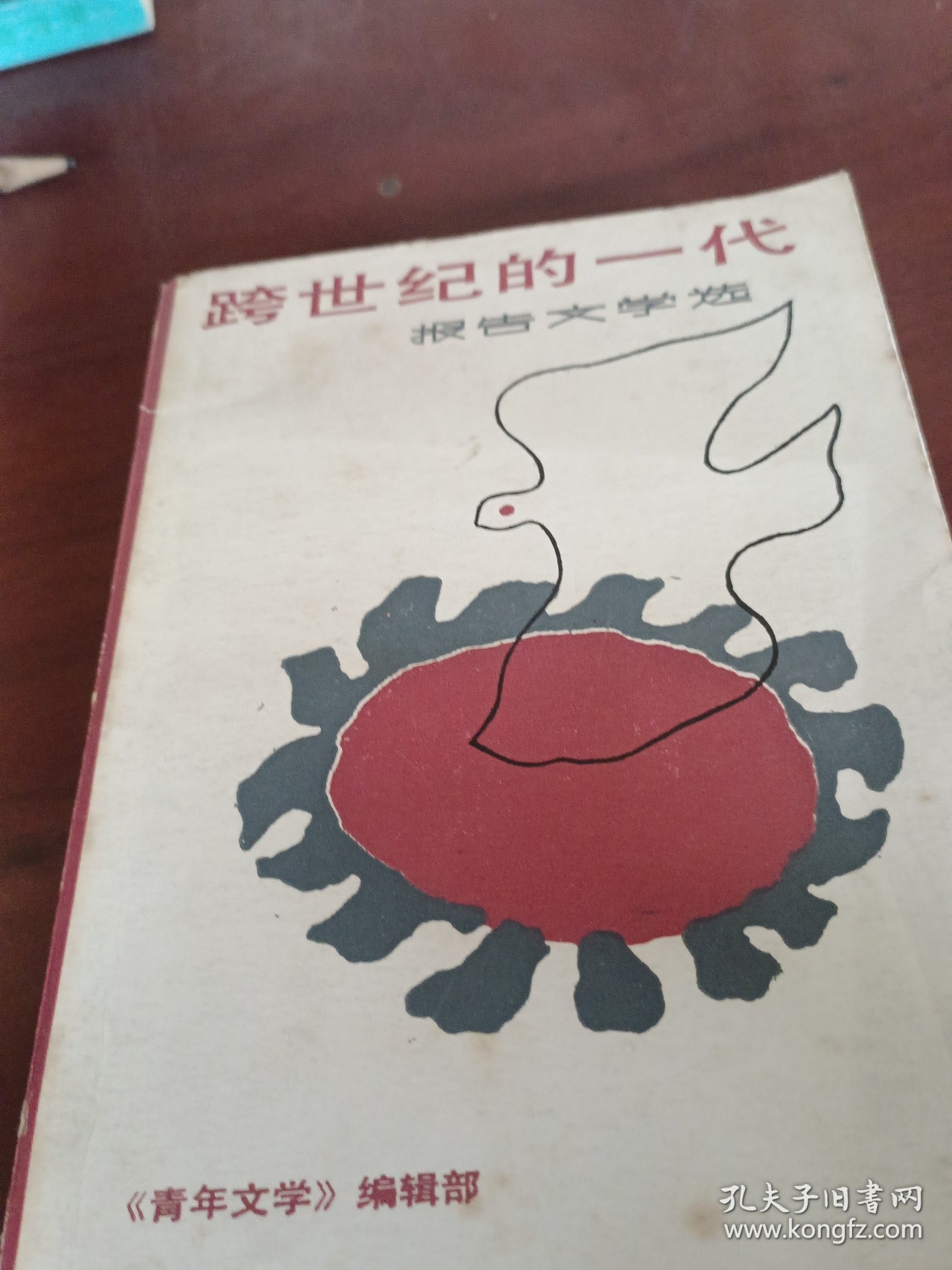 跨世纪的一代。
