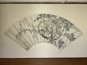 清末举人，西泠印社早期社员高野侯梅花扇面52*18
高野侯（1878—1952）现代画家、鉴赏家。名时显，字欣木，号野侯、可庵，浙江杭县（今余杭）人。清末举人。西泠印社早期社员。
高时显 （一八七八——一九五二），字欣木，号野侯，又号可庵。浙江杭县人。为高时丰弟，时敬、时衮、时敷（络园）之兄，兄弟数人，并以书画名重一时，—门风雅。清光绪二十九年（一九○三）癸卯举人，曾官内阁中书。辛亥革命後，於