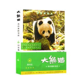 大熊猫—我的秦岭邻居