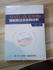 MATLABR2020a智能算法及实例分析