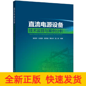 直流电源设备技术监督与案例分析