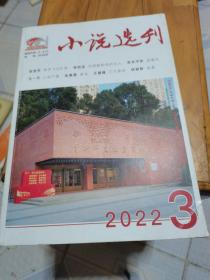 小说选刊（2022年第3期）