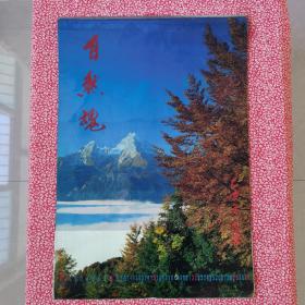 挂历，1995自然魂，缺1、2、4月三张