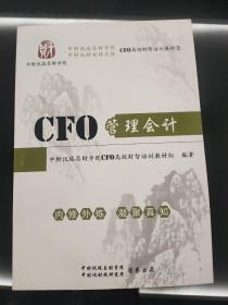 财务精英都是Excel控：CFO手把手教你学管理会计