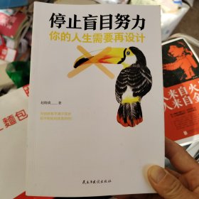 停止盲目努力：你的人生需要再设计