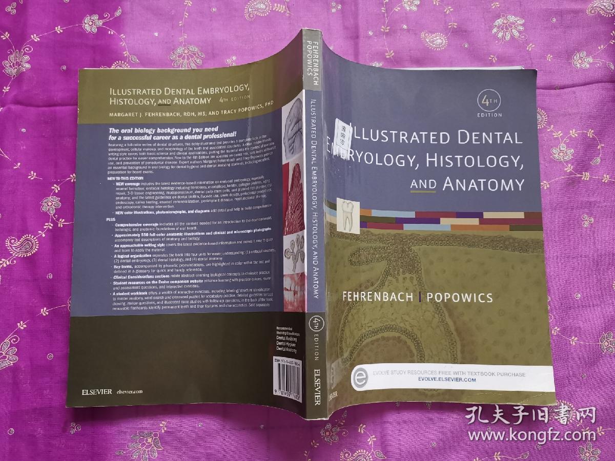 IllustratedDentalEmbryology,Histology,andAnantomy图解牙科胚胎学，组织学和解剖学,第4版