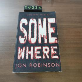 【英文原版】some where
 jon robinson