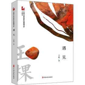 遇见 中国现当代文学 王棵 新华正版