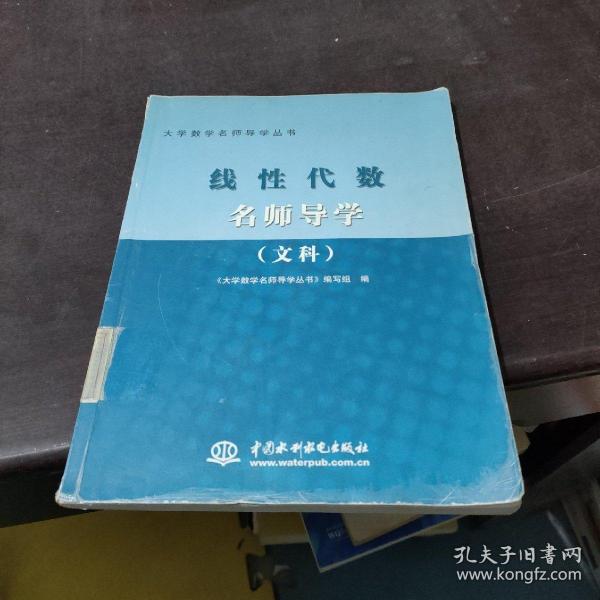 线性代数名师导学（文科）——大学数学名师导学丛书