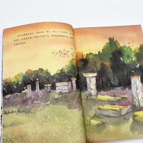 丁香结