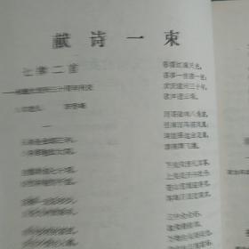 热烈庆祝大理白族自治州成立卅周年点苍山文艺特刊