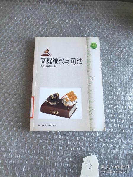 家庭维权与司法