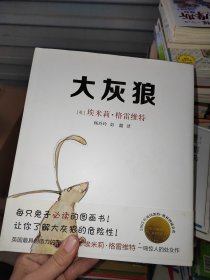 大灰狼 精装