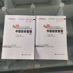 (2019)中级财务管理应试指导及全真模拟测试（上下册）