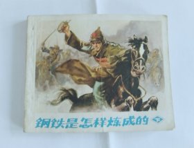 钢铁是怎样炼成的（上下）