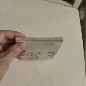 连环画:玫瑰小姐