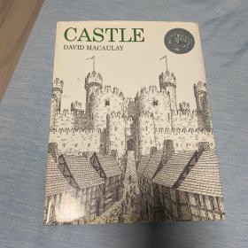 Castle 城堡 正版品好现货适合收藏 英文版儿童绘本精装版