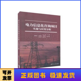 电力信息化咨询项目实施与应用分析