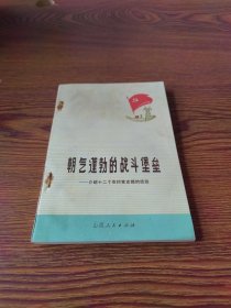 朝气蓬勃的战斗堡垒——介绍十二个农村党支部的经验