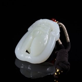 和田玉蝉，一鸣惊人