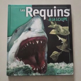 （A La loupe) Les Requins 法文插绘本 精装12开