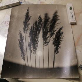 晨曲  甘肅畫(huà)報(bào) 展覽照片  原版照片  敦煌縣武裝部  劉德舉攝  八九十年代