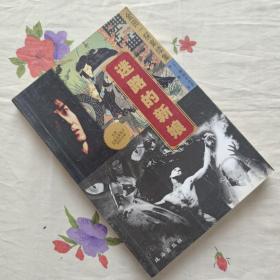 名琅庄：金田一探案续集