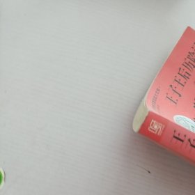 王子王后历险记