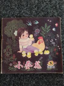 小葵花1981年第5期