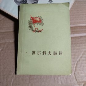 苏尔科夫诗选