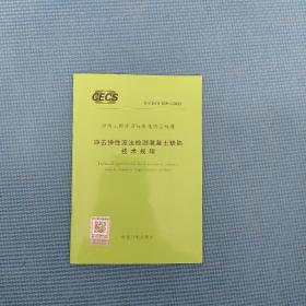 中国工程建设标准化协会标准 T/CECS 925-2021 冲击弹性波法检测混凝土缺陷技术规程 155182.1012 中冶建筑研究总院有限公司 中国计划出版社