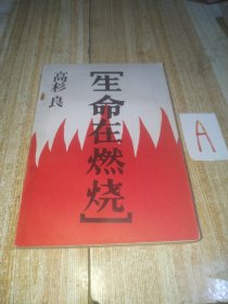 生命在燃烧【包邮】