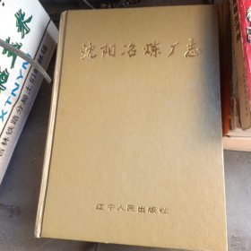 沈阳冶炼厂志