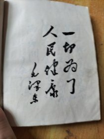 常用药物手册