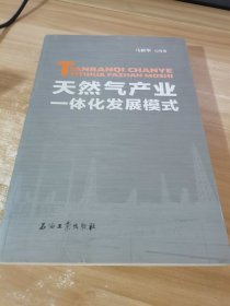 天然气产业一体化发展模式