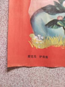 1983年对开年画《爱花鸟护虫鱼》