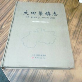 大田集镇志（精装本）