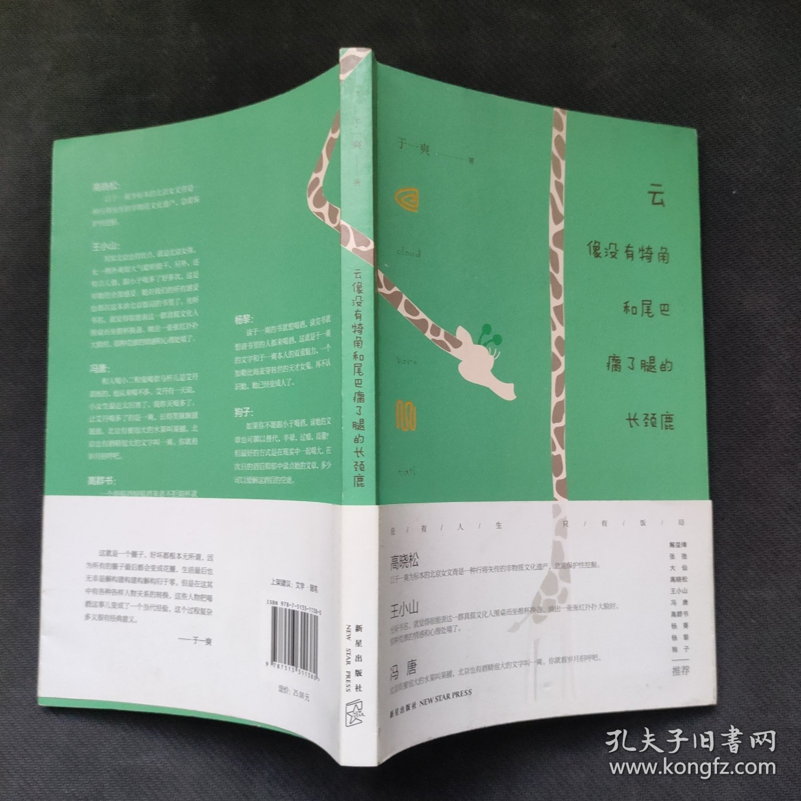 云像没有犄角和尾巴瘸了腿的长颈鹿（高晓松、杨葵，高群书、冯唐、王小山等推荐）于一爽签名本
