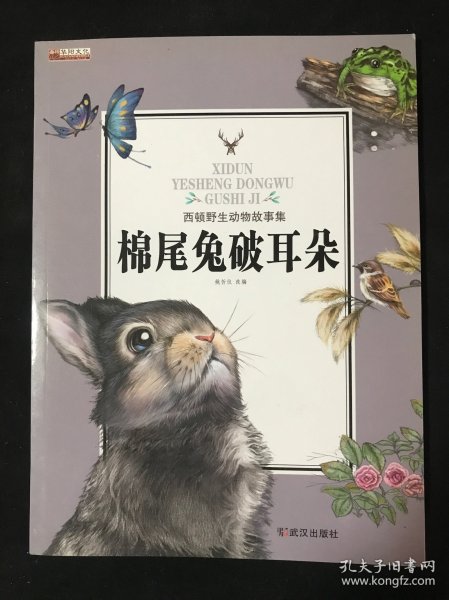 棉尾兔破耳朵/西顿野生动物故事集