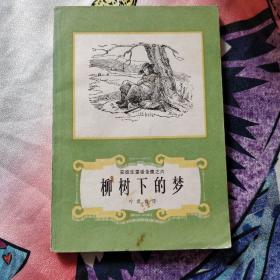 《柳树下的梦》安徒生童话全集之六。6元包邮。